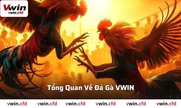 Đá Gà VWIN - Trải Nghiệm Giải Trí Không Thể Bỏ Qua 2025 1 Tổng quan về đá gà VWIN